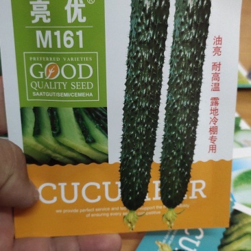 黄瓜种子亮优该品种耐高温，油亮绿肉，短把密刺，