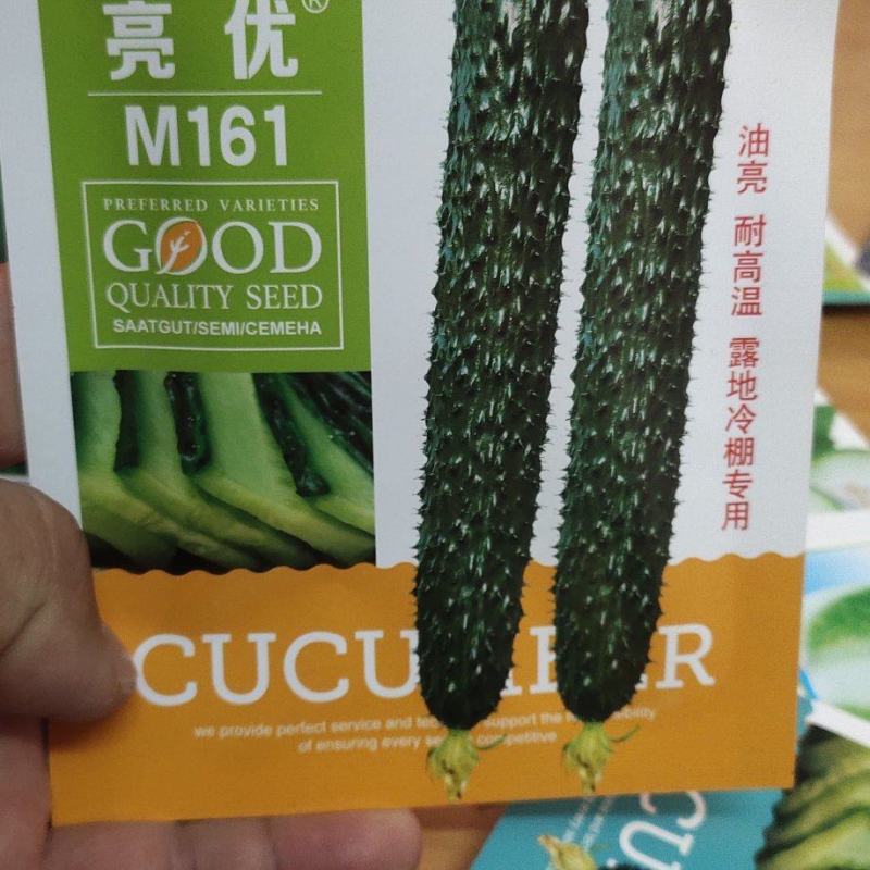 黄瓜种子亮优该品种耐高温，油亮绿肉，短把密刺，