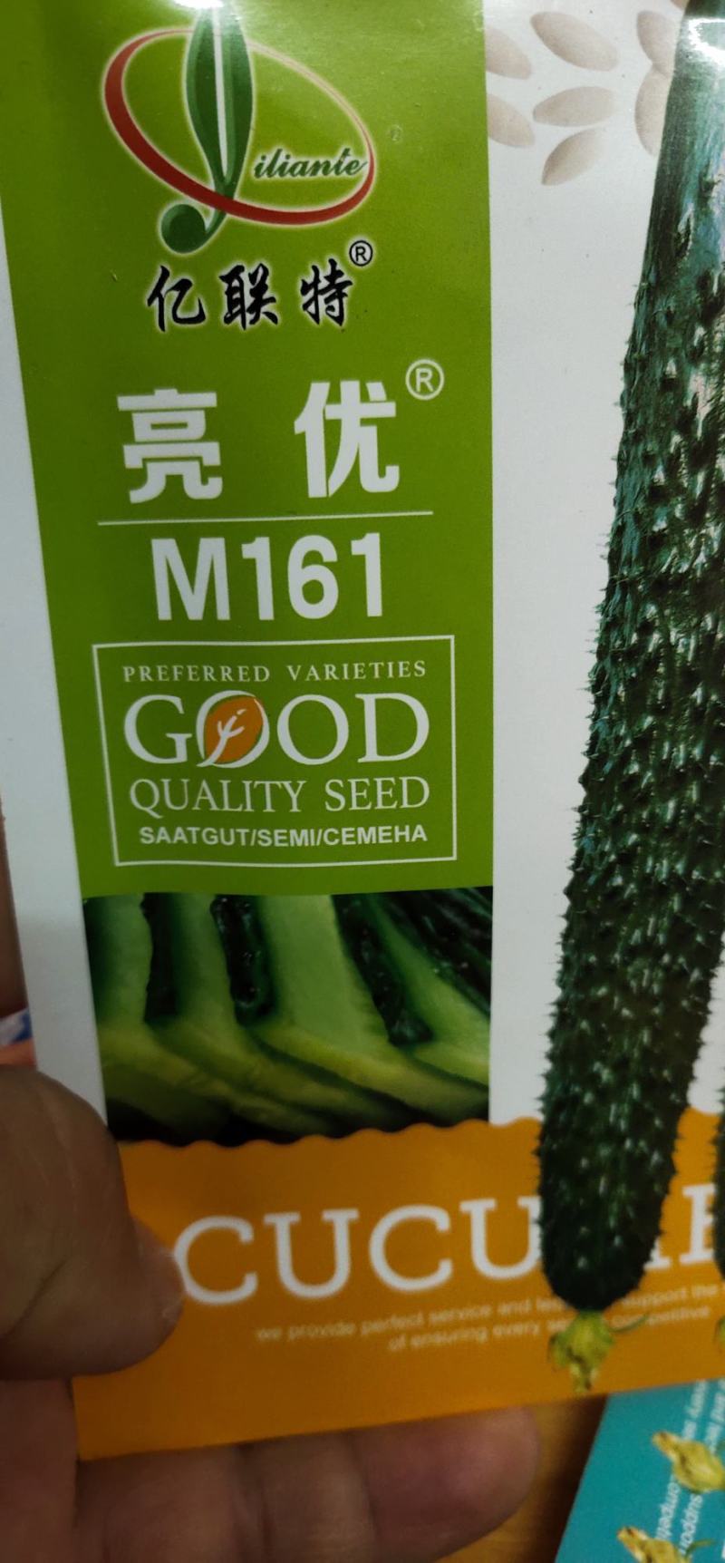 黄瓜种子亮优该品种耐高温，油亮绿肉，短把密刺，