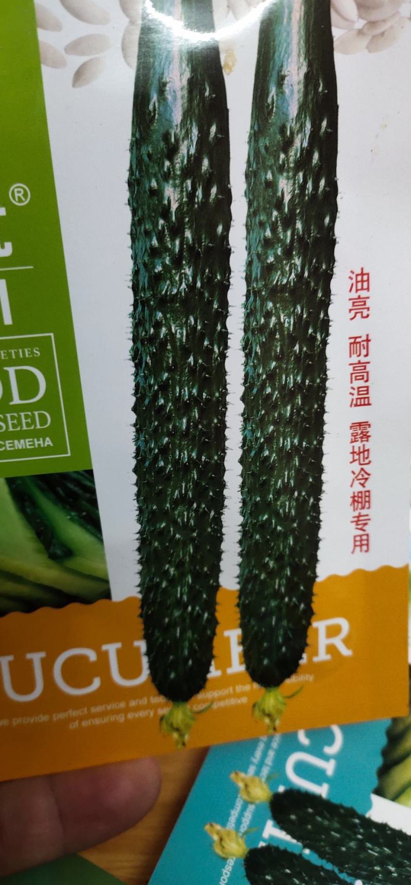 黄瓜种子亮优该品种耐高温，油亮绿肉，短把密刺，