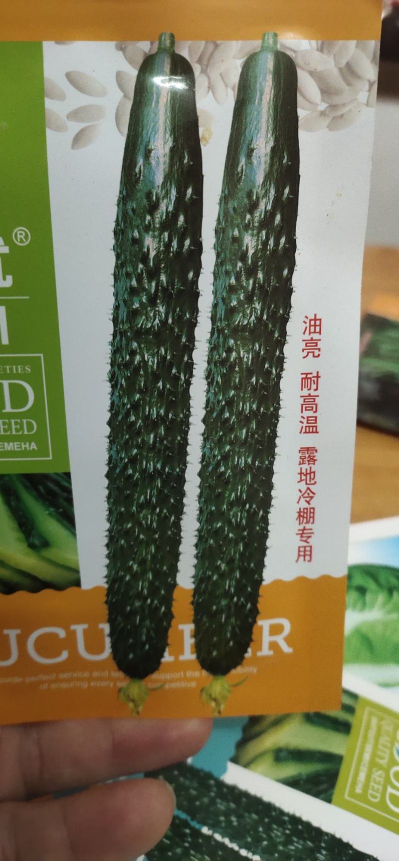 黄瓜种子亮优该品种耐高温，油亮绿肉，短把密刺，