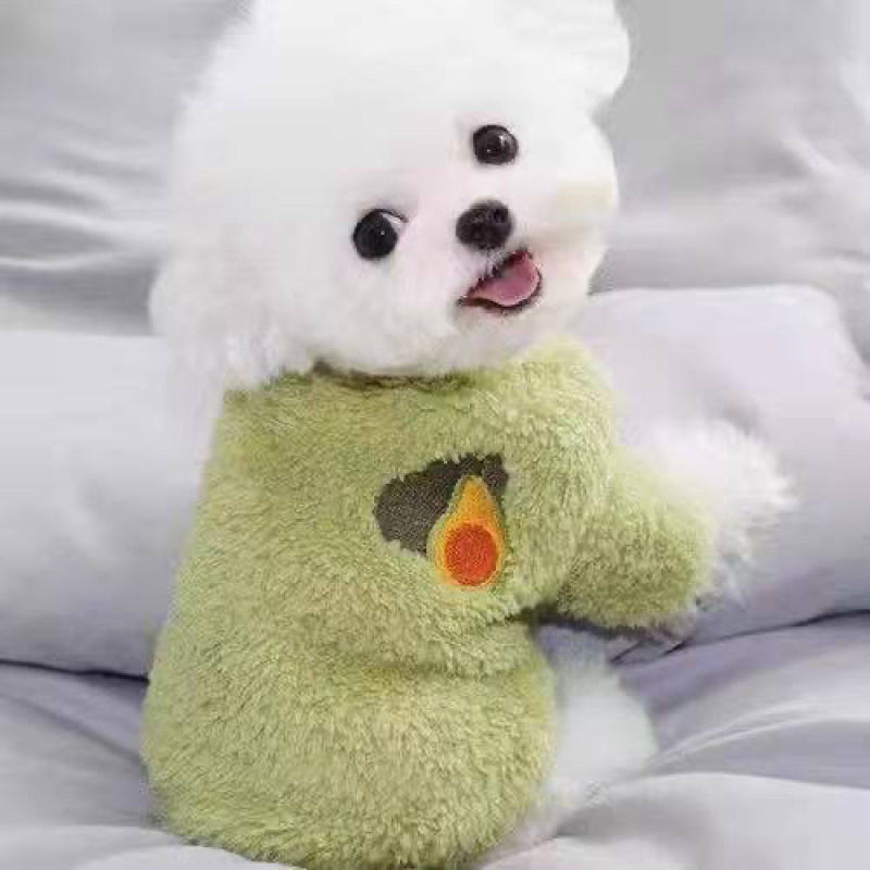 纯种比熊犬活体幼犬宠物狗狗活体比熊体茶杯犬活体长不大