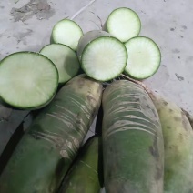 水果萝卜