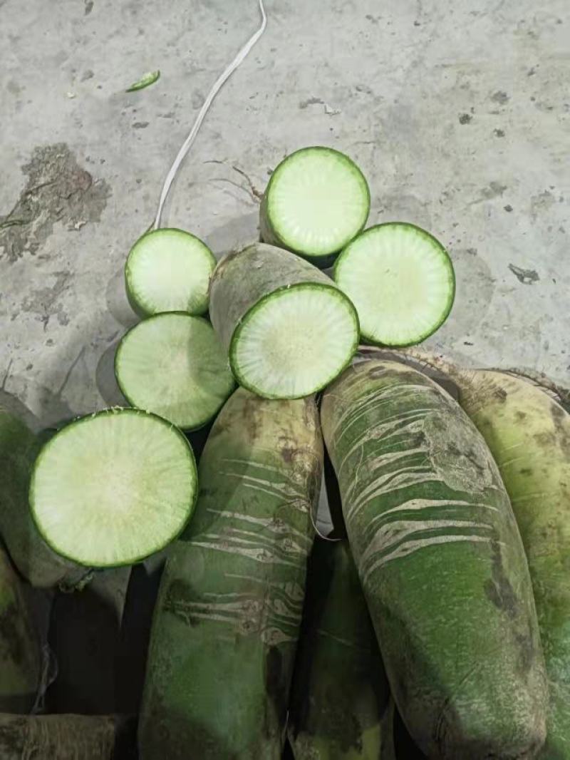 水果萝卜