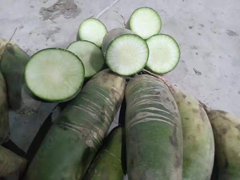 水果萝卜