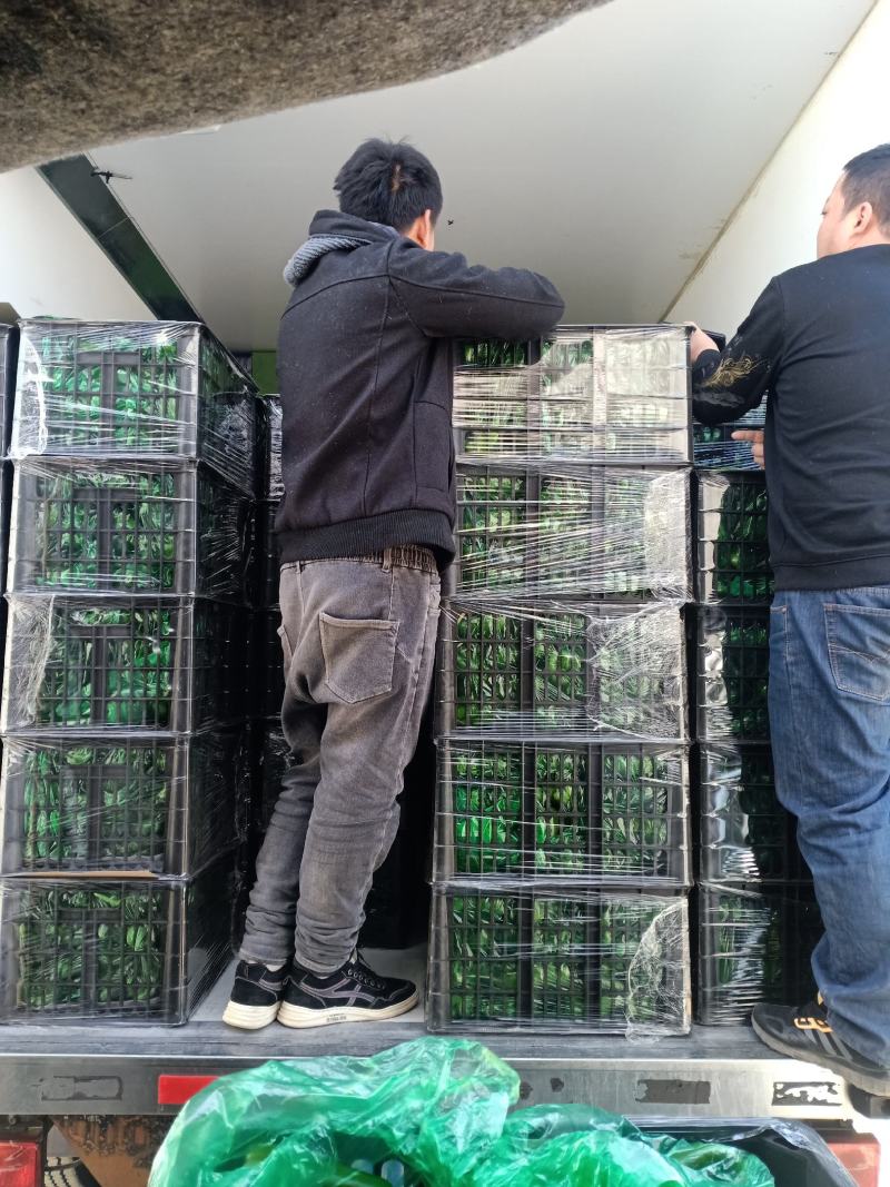 太空椒大量下货