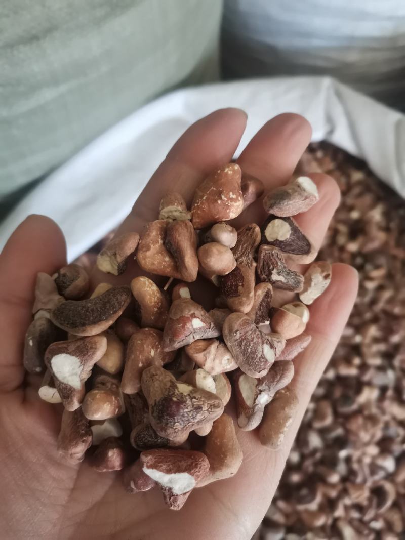 菱角米中药材无硫干货冷背药材大全