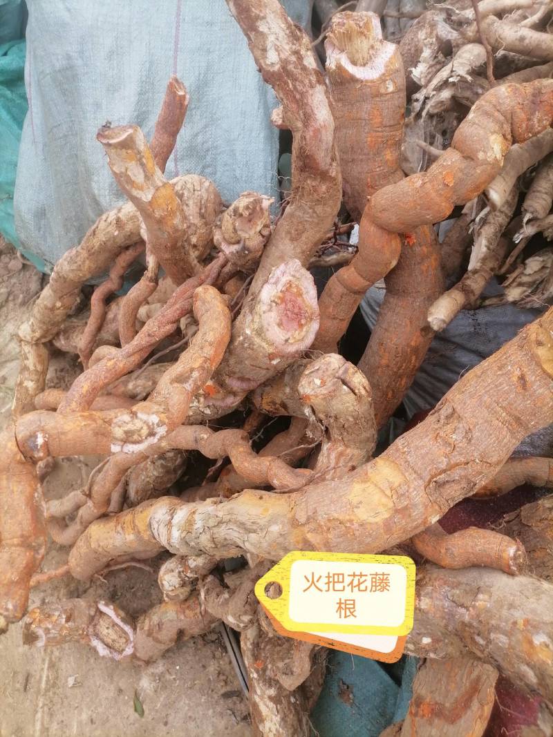 出售雷公藤干片，雷公藤根段，干货云南货11