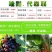 唑醚代森联富美实领润蔬菜黄瓜霜霉病果树炭疽病农药杀菌剂