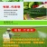 唑醚代森联富美实领润蔬菜黄瓜霜霉病果树炭疽病农药杀菌剂