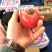 普罗旺斯，上市了，需要的可以联系，价格合适