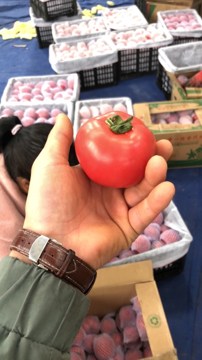 普罗旺斯，上市了，需要的可以联系，价格合适
