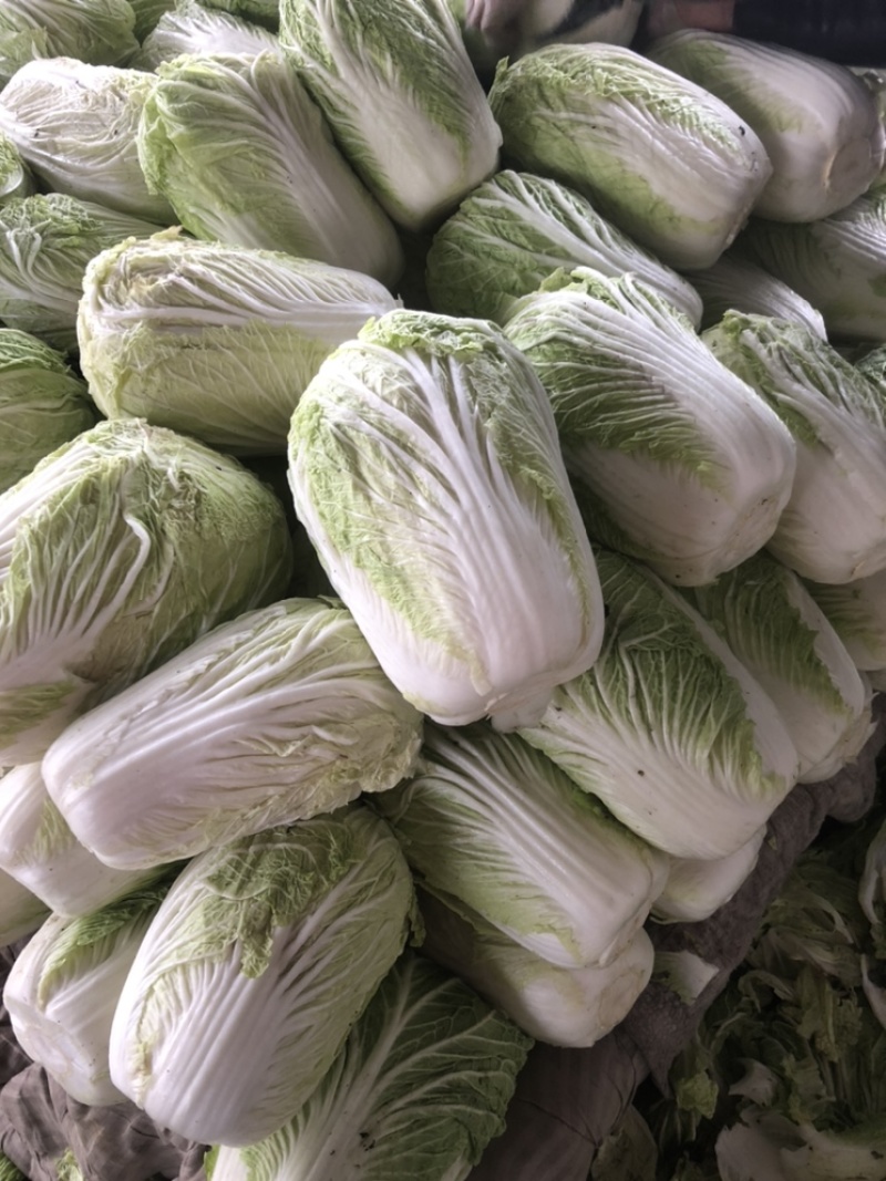 库存青杂3号，大白菜，需要的可以联系了