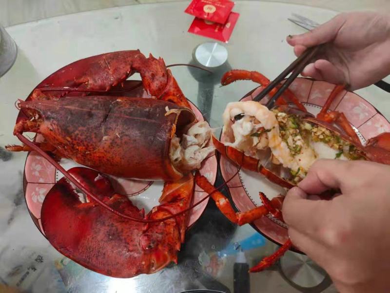 波士顿大龙虾，新鲜鲜活波士顿都有，时令价下单提前询价！