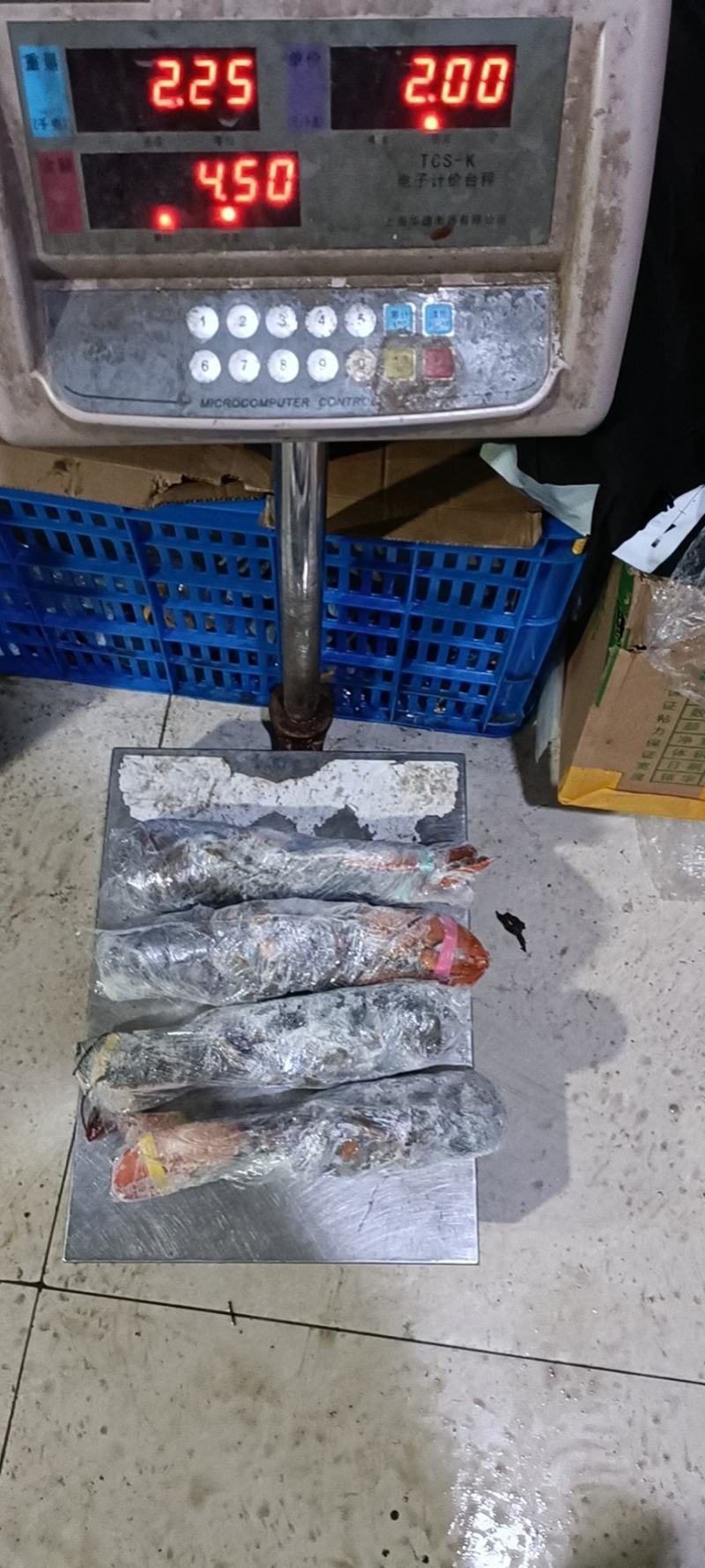 波士顿大龙虾，新鲜鲜活波士顿都有，时令价下单提前询价！