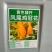 凤尾鸡冠花种子头状鸡冠花种子观赏花籽阳台庭院花草种子