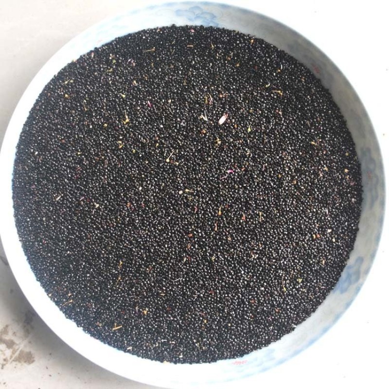 凤尾鸡冠花种子头状鸡冠花种子观赏花籽阳台庭院花草种子