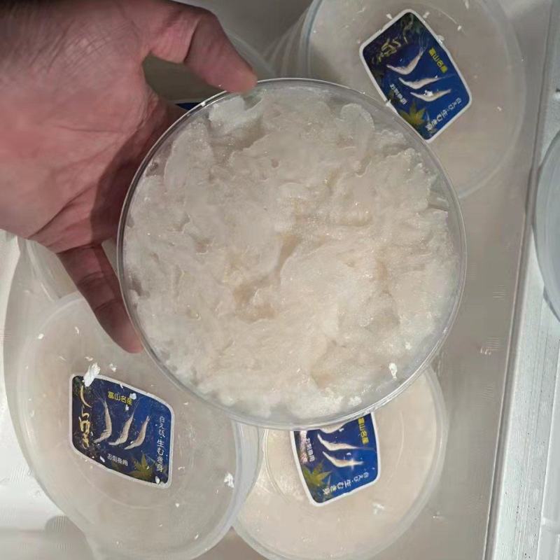 白虾，刺身用