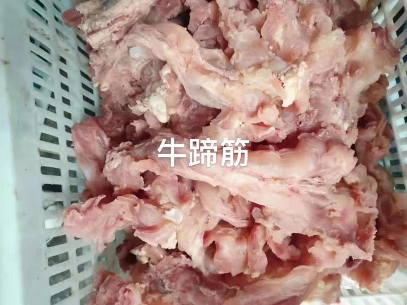 牛蹄筋，鲜货实拍，满满胶原，自己家煮的欢迎咨询订购