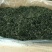 精品蒲公英茶新货干货一级蒲公英茶嫩叶散装泡水喝