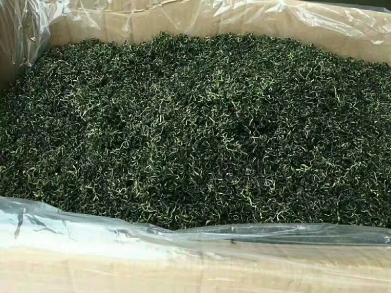 精品蒲公英茶新货干货一级蒲公英茶嫩叶散装泡水喝