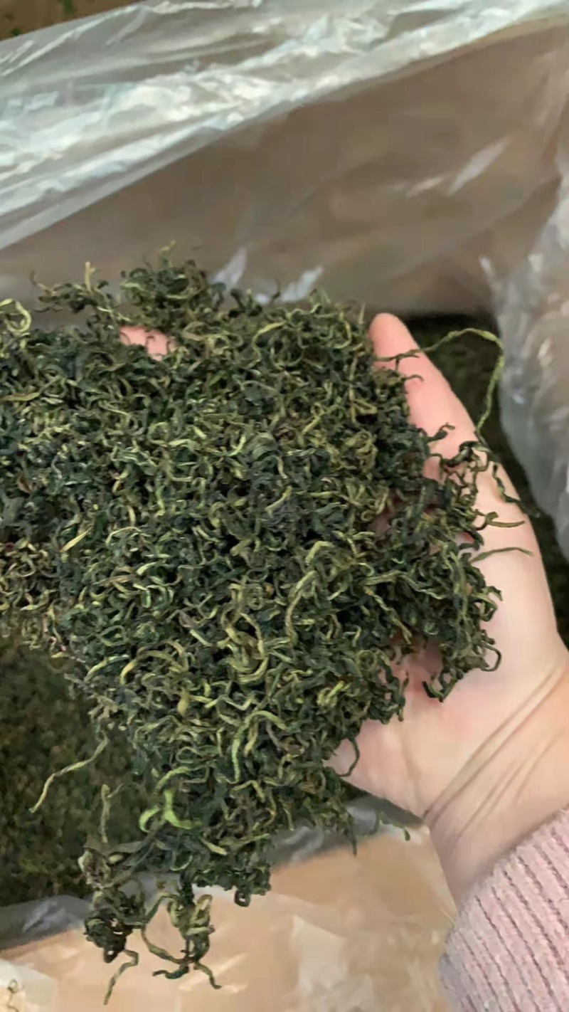 精品蒲公英茶新货干货一级蒲公英茶嫩叶散装泡水喝