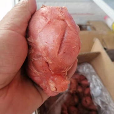 【卤味】五香小腱（鼠腱）