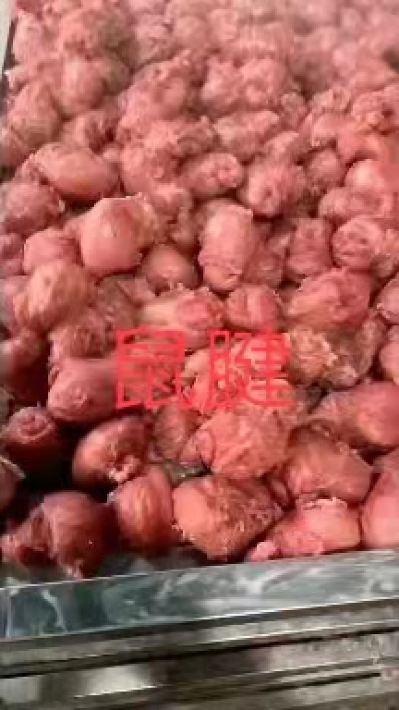 【卤味】五香小腱（鼠腱）