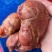 【卤味】五香小腱（鼠腱）