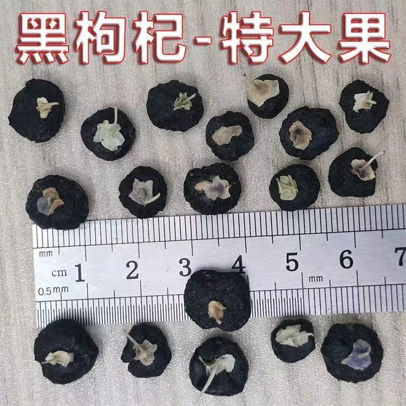 野生黑枸杞批发宁夏特产天然枸杞子滋补枸杞茶泡酒水煲汤枸杞
