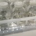 商薯19红薯苗新一代原种培育而成，鲜食，淀粉加工兼用型