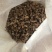 四川非水洗蝉蜕，欢迎各位新老客户咨询，量大从优！
