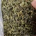 丁香茶长白山丁香茶无硫一件代发量大从优