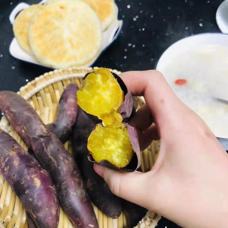天目山小香薯