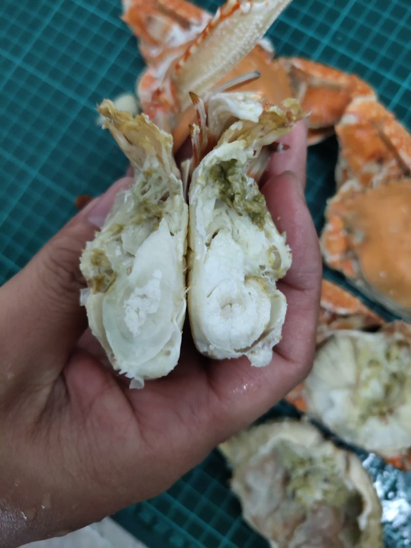 扁蟹梭子蟹肉蟹规格100/150净重3KG