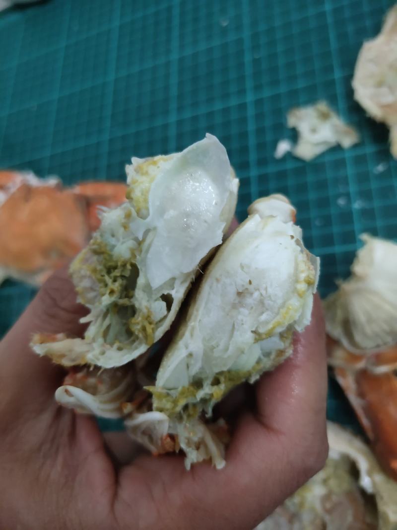扁蟹梭子蟹肉蟹规格100/150净重3KG