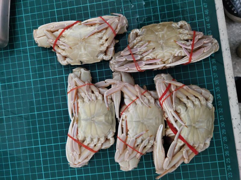 扁蟹梭子蟹肉蟹规格100/150净重3KG