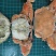 扁蟹梭子蟹肉蟹规格100/150净重3KG