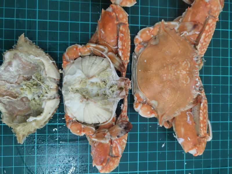 扁蟹梭子蟹肉蟹规格100/150净重3KG