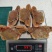 扁蟹梭子蟹肉蟹规格100/150净重3KG