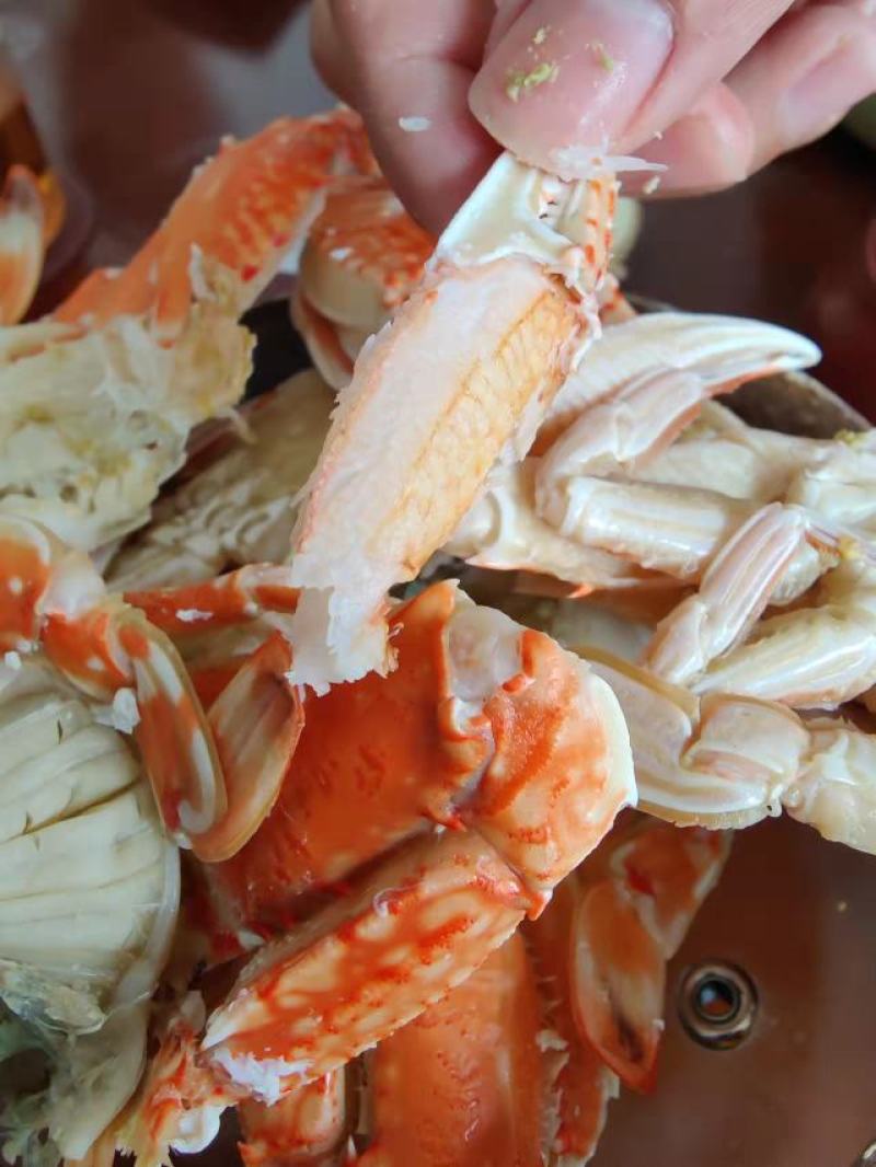 扁蟹梭子蟹肉蟹规格100/150净重3KG