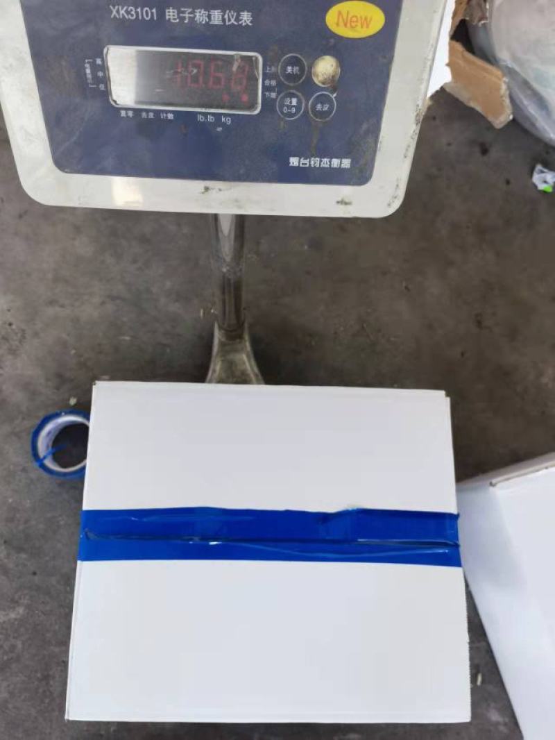 鱿鱼花