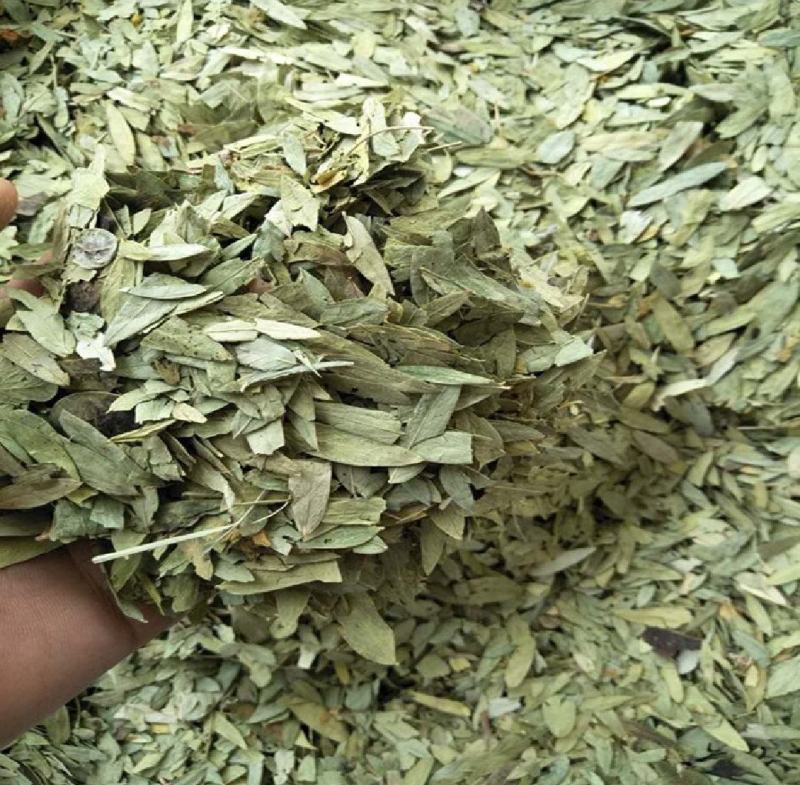 番泻叶泻叶中药材批发番泻叶产地直销质量保证