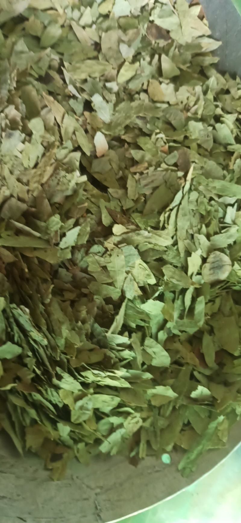 番泻叶泻叶中药材批发番泻叶产地直销质量保证