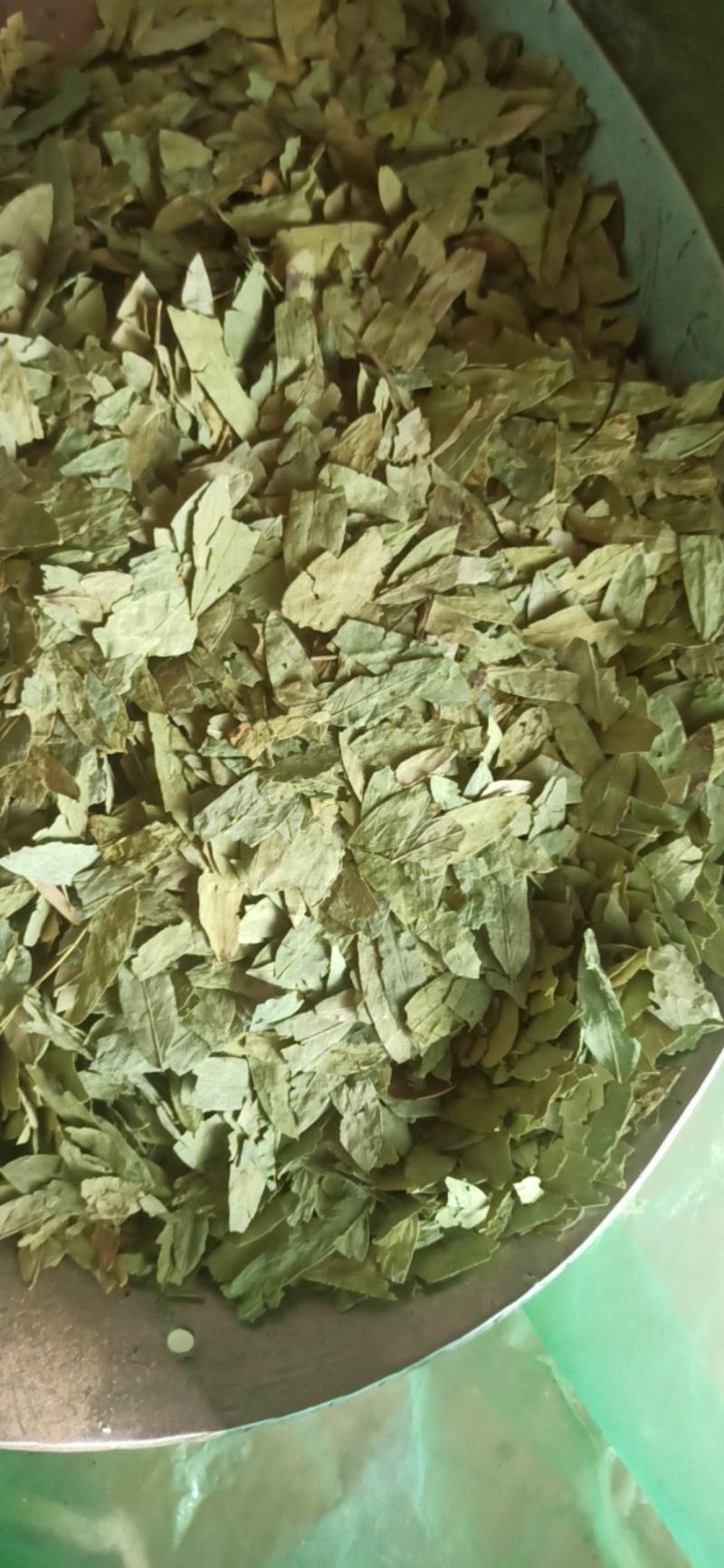 番泻叶泻叶中药材批发番泻叶产地直销质量保证