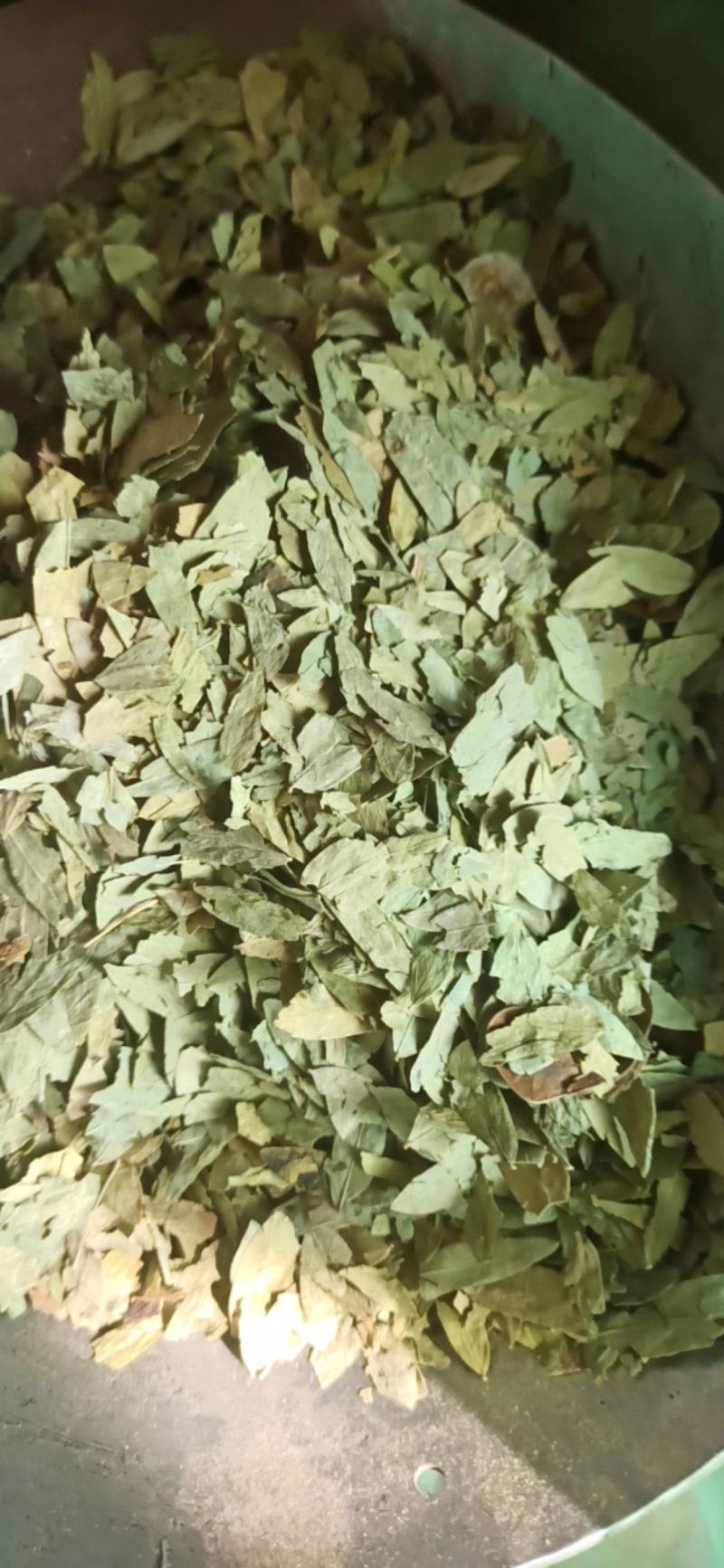 番泻叶泻叶中药材批发番泻叶产地直销质量保证