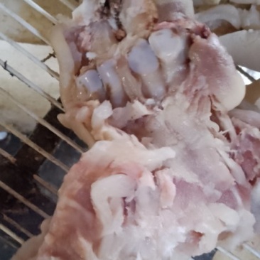 去骨熟熟牛蹄筋，八成熟大牛蹄筋