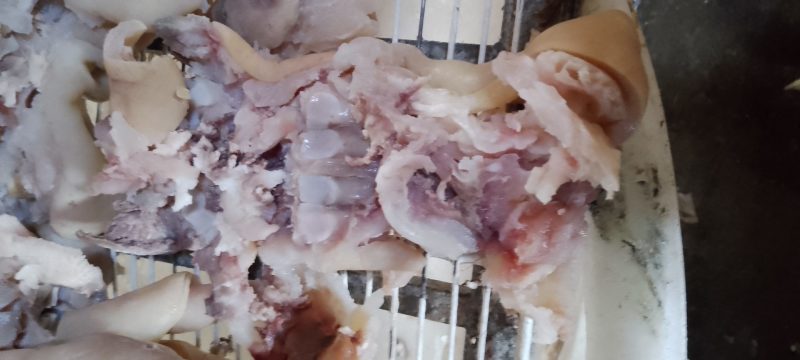 去骨熟熟牛蹄筋，八成熟大牛蹄筋