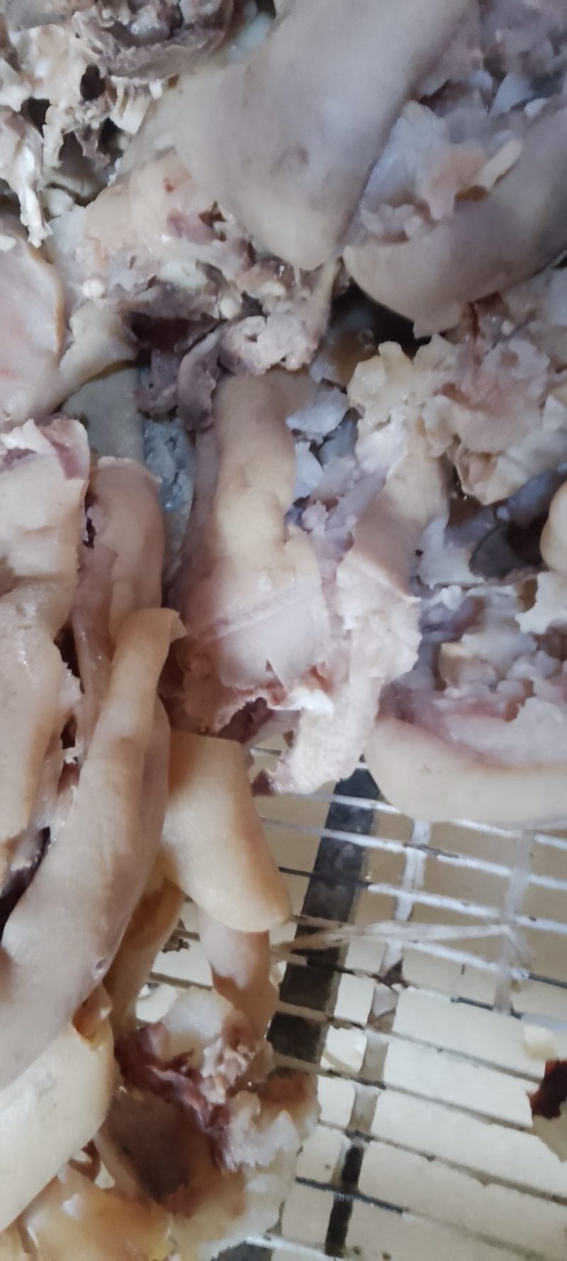 去骨熟熟牛蹄筋，八成熟大牛蹄筋