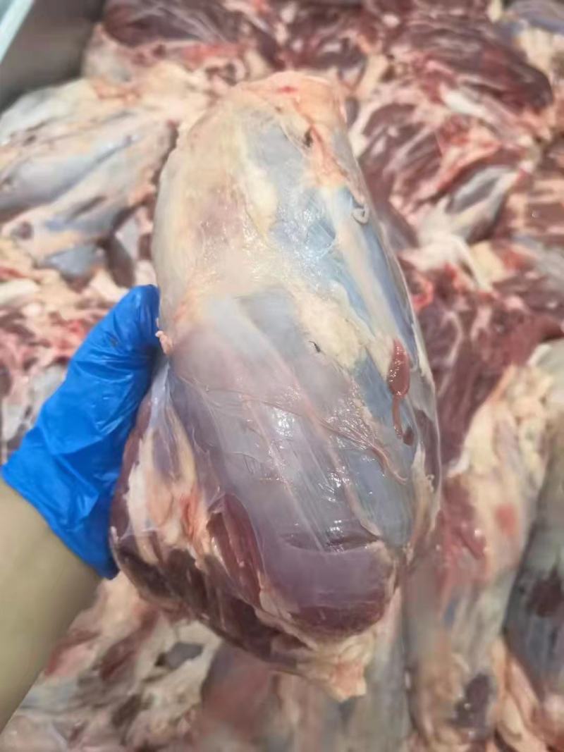 牛腱，牛前腱，前后混装，量大优惠多多，一手货源，证件齐全